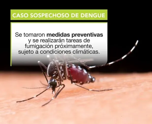 denguepicosalliquelo