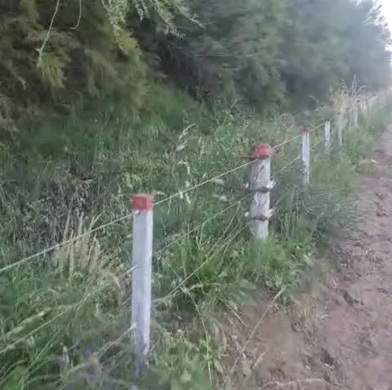 Imagen de WhatsApp 2025-11-18 a las 20.11.22_ba474dd1