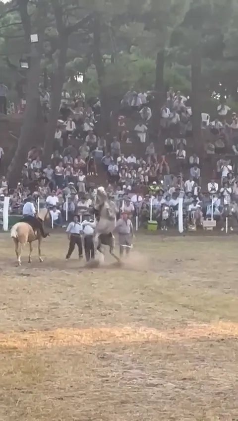 AQMncb1Gqkl4fEbGxTcKFyAE_rnuoWD6PAaVEJeiJTllHquHfXmI6RxcN7E311ewhfinEqB-0yBjw58dguX7Misr