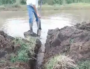 Imagen de WhatsApp 2025-11-18 a las 20.37