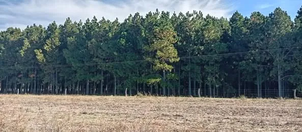 493941952_1234404902028339_840447871413128639_n