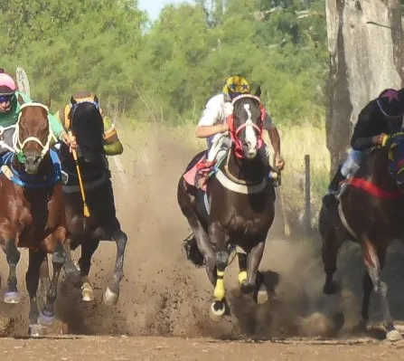 471354834_1127093482759482_9123145907712427538_n