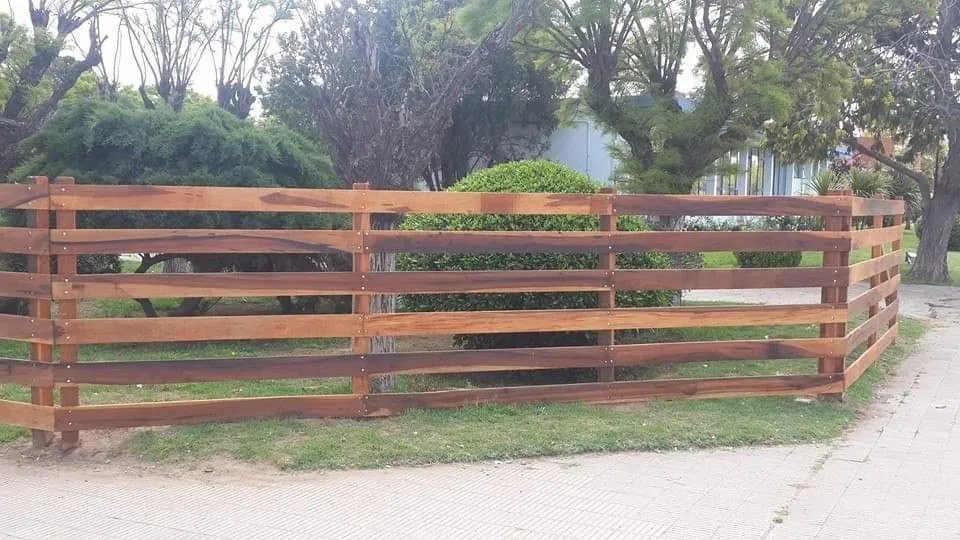 465462014_1089570996511731_5771016110950927071_n