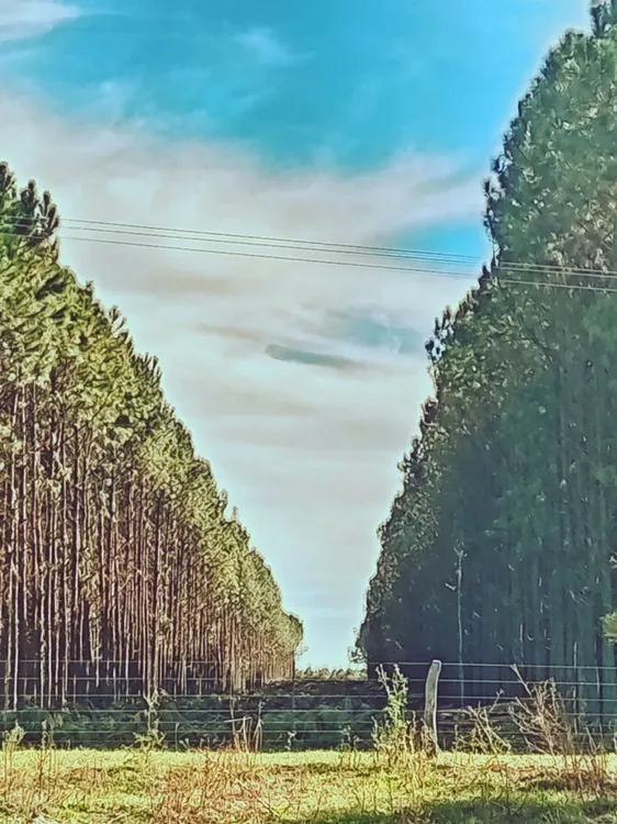 494056742_1234404928695003_3348337623099014358_n