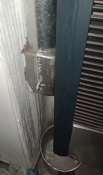 WhatsApp Image 2026-02-19 at 12.54.40 PM