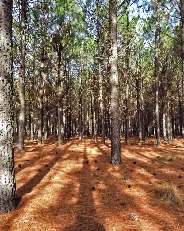 494012870_1234404945361668_7789422979039252342_n