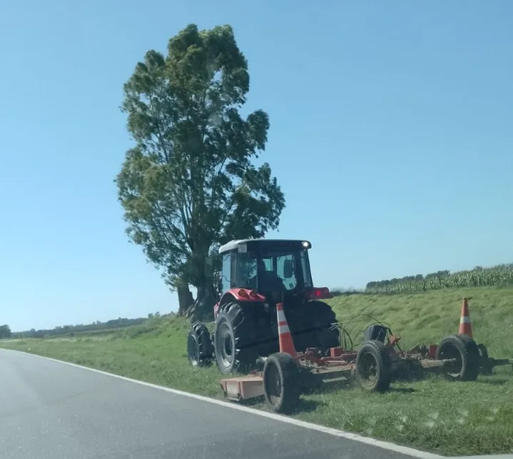 Imagen de WhatsApp 2025-03-10 a las 12.54.16_e5e9e829