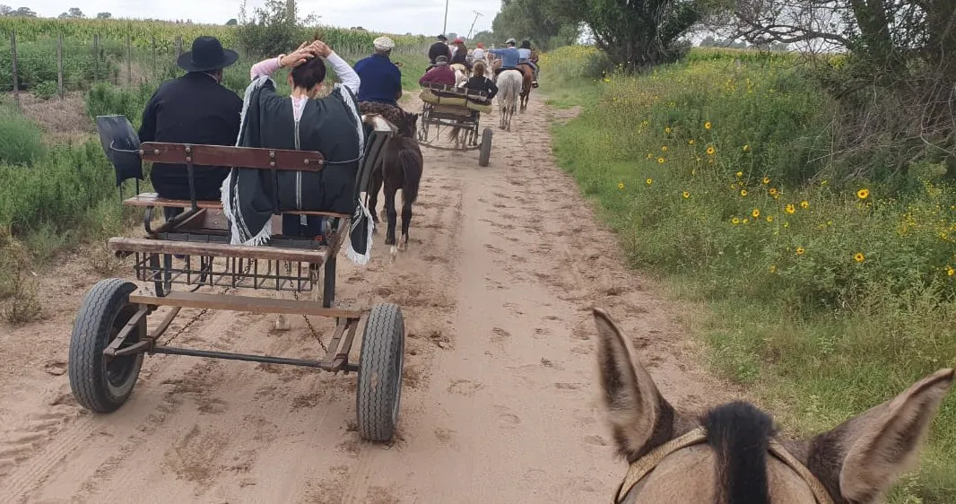 Imagen de WhatsApp 2024-02-26 a las 20.57.32_80096c73