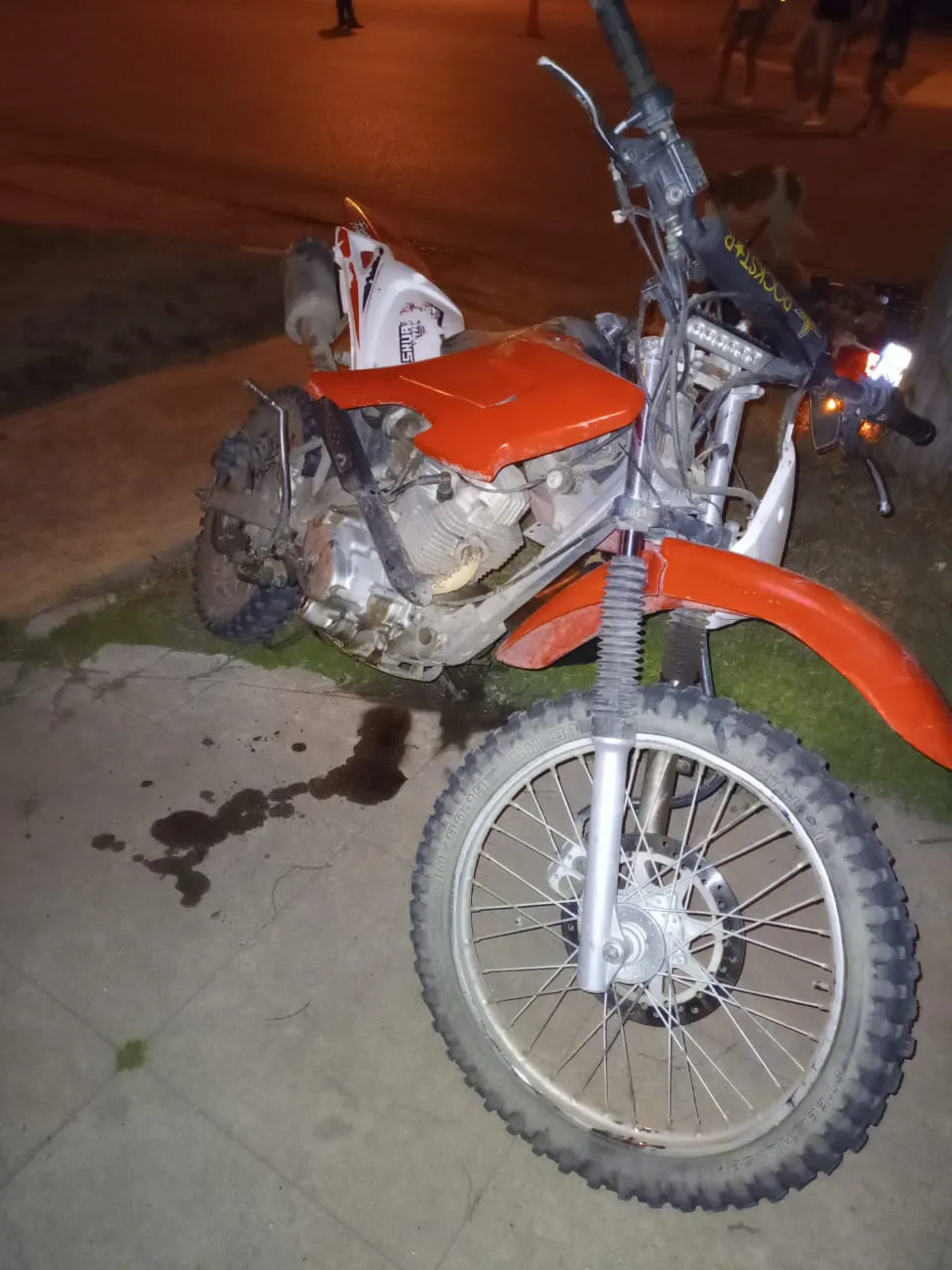 Imagen de WhatsApp 2024-09-29 a las 22.47.48_a5f957e8