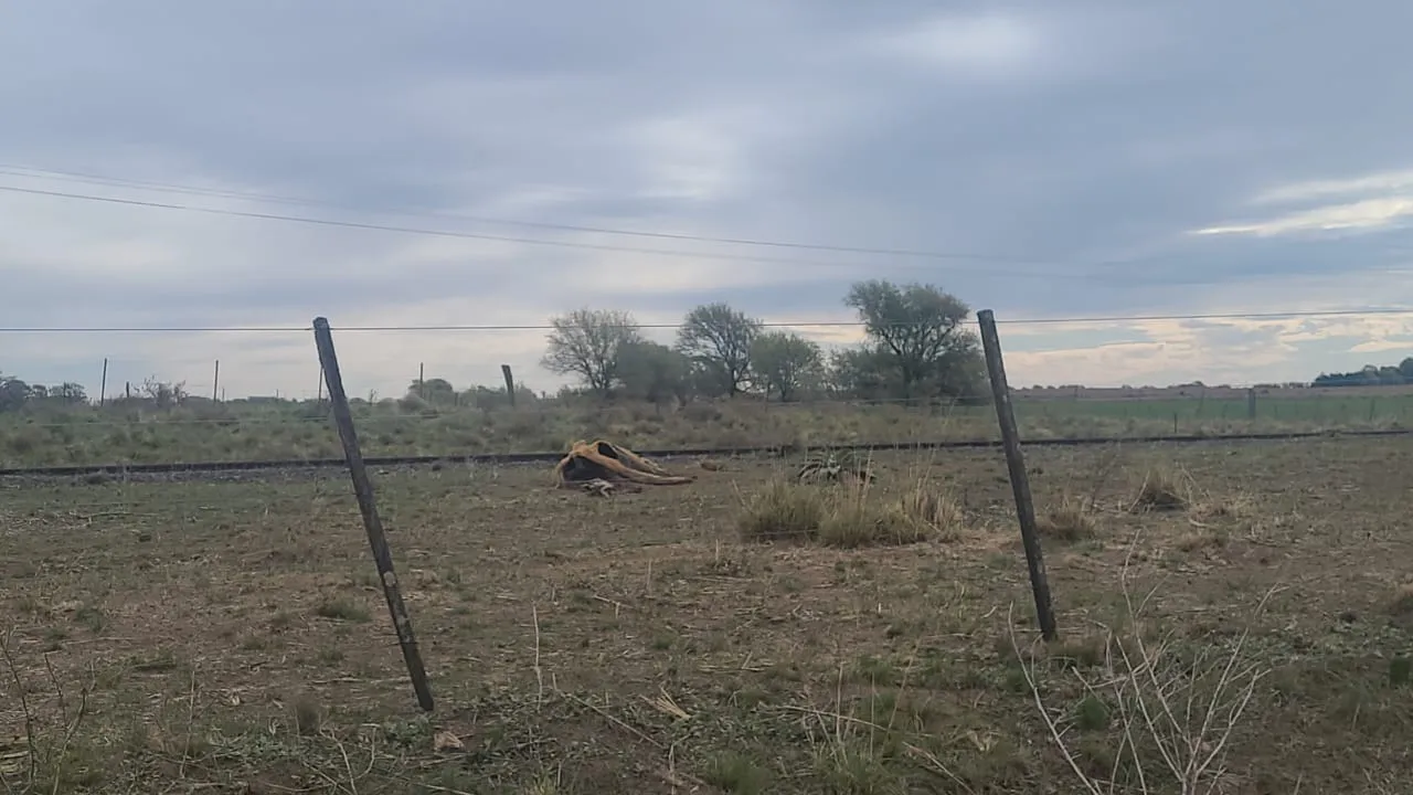 Imagen de WhatsApp 2025-09-23 a las 16.04.04_2d34d5c8