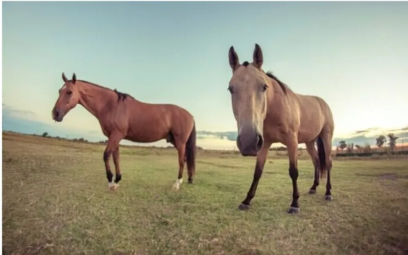 Screenshot_20240112-173503_Facebook