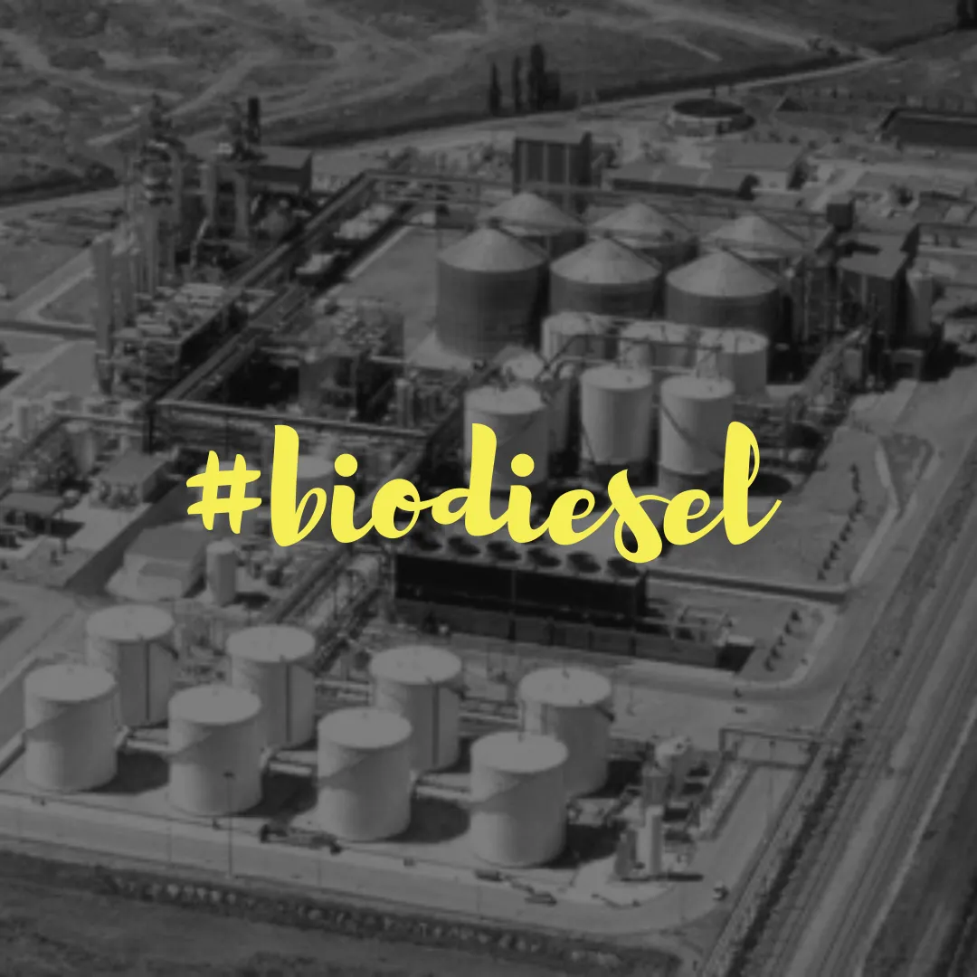 48185548_1677262622373770_2082898433768685568_n