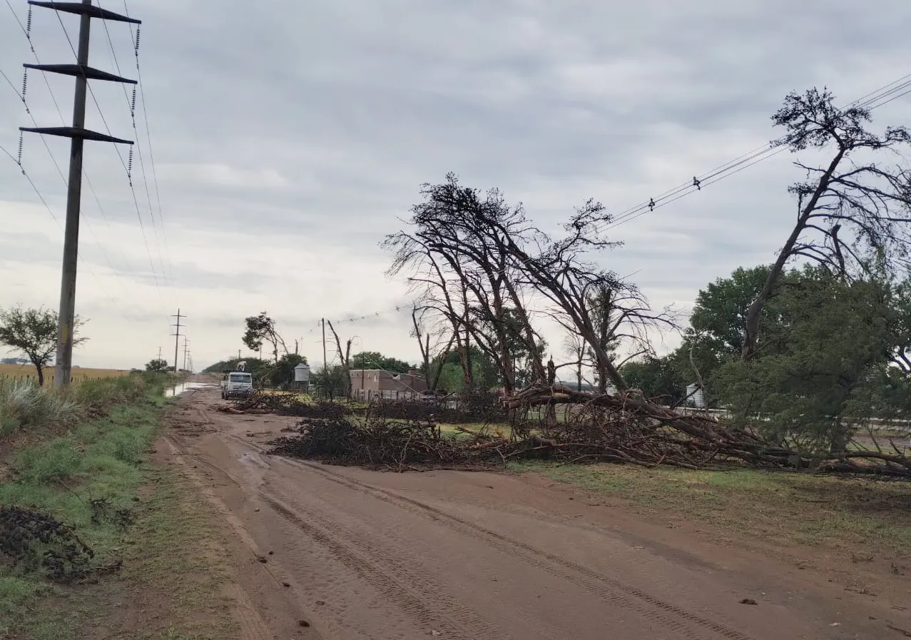 2024-02-09 Tormenta destrozos_4