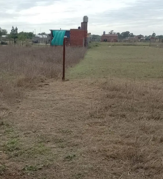 Imagen de WhatsApp 2024-10-16 a las 10.46.53_960fc4c4