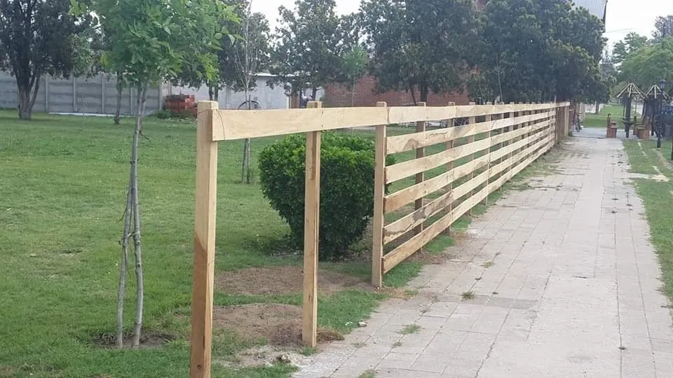 465418118_1089570966511734_8478381010923384126_n