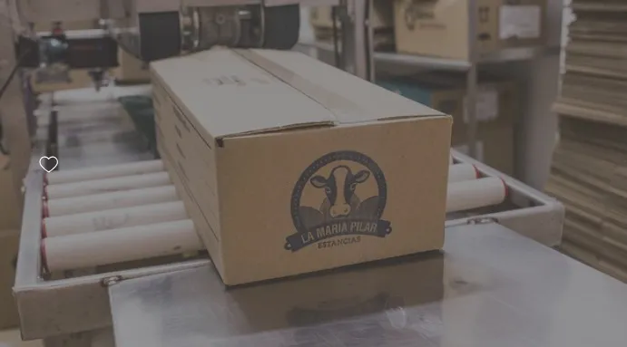 Imagen de WhatsApp 2023-12-19 a las 11.31.41_e7b3d41d