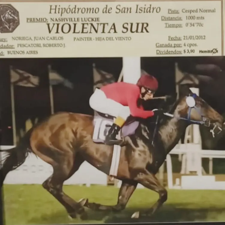 Imagen de WhatsApp 2024-07-14 a las 17.13.10_83d36abf