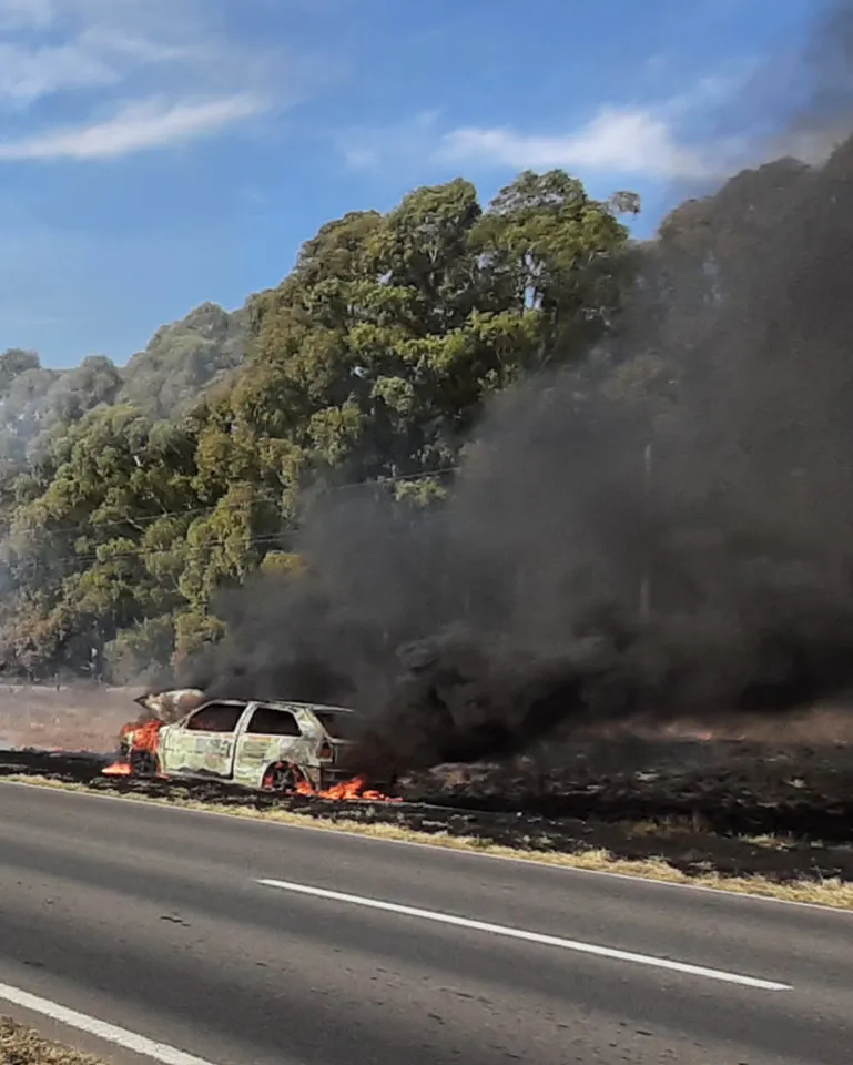 448234476_978954230906742_1161689859952081153_n