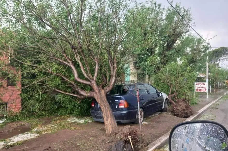 466120863_1094522956016535_1988620267391924768_n