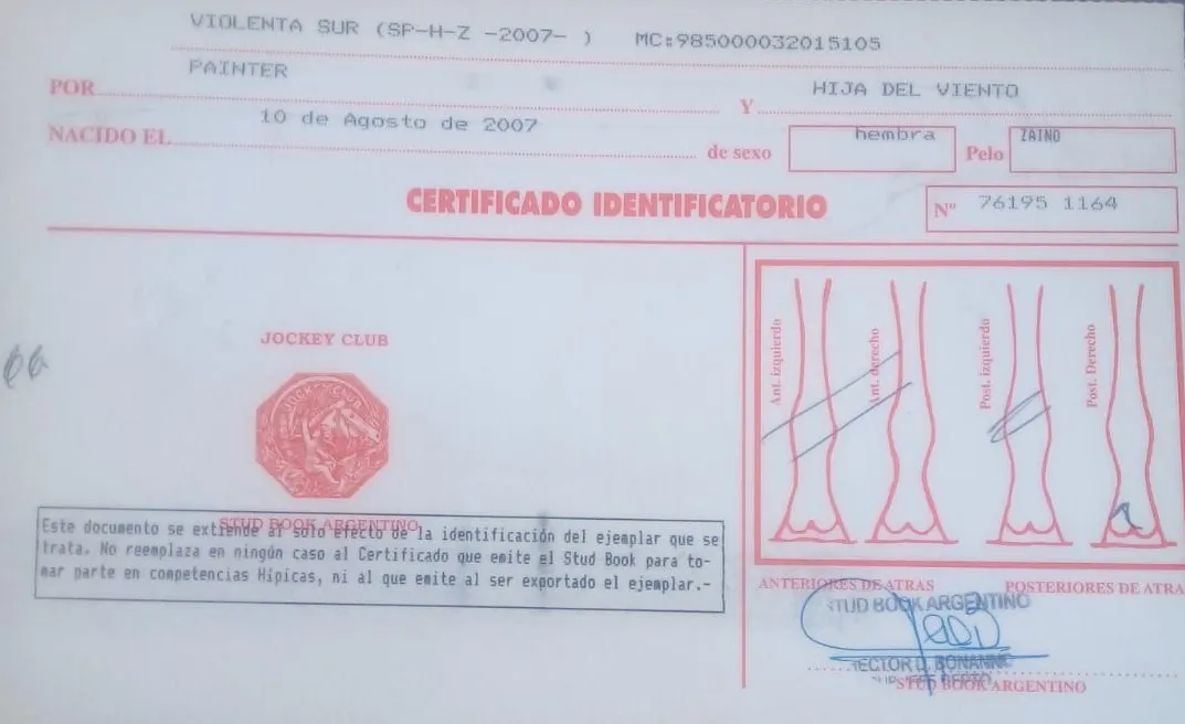 Imagen de WhatsApp 2024-07-14 a las 17.16.54_1b02c8ae