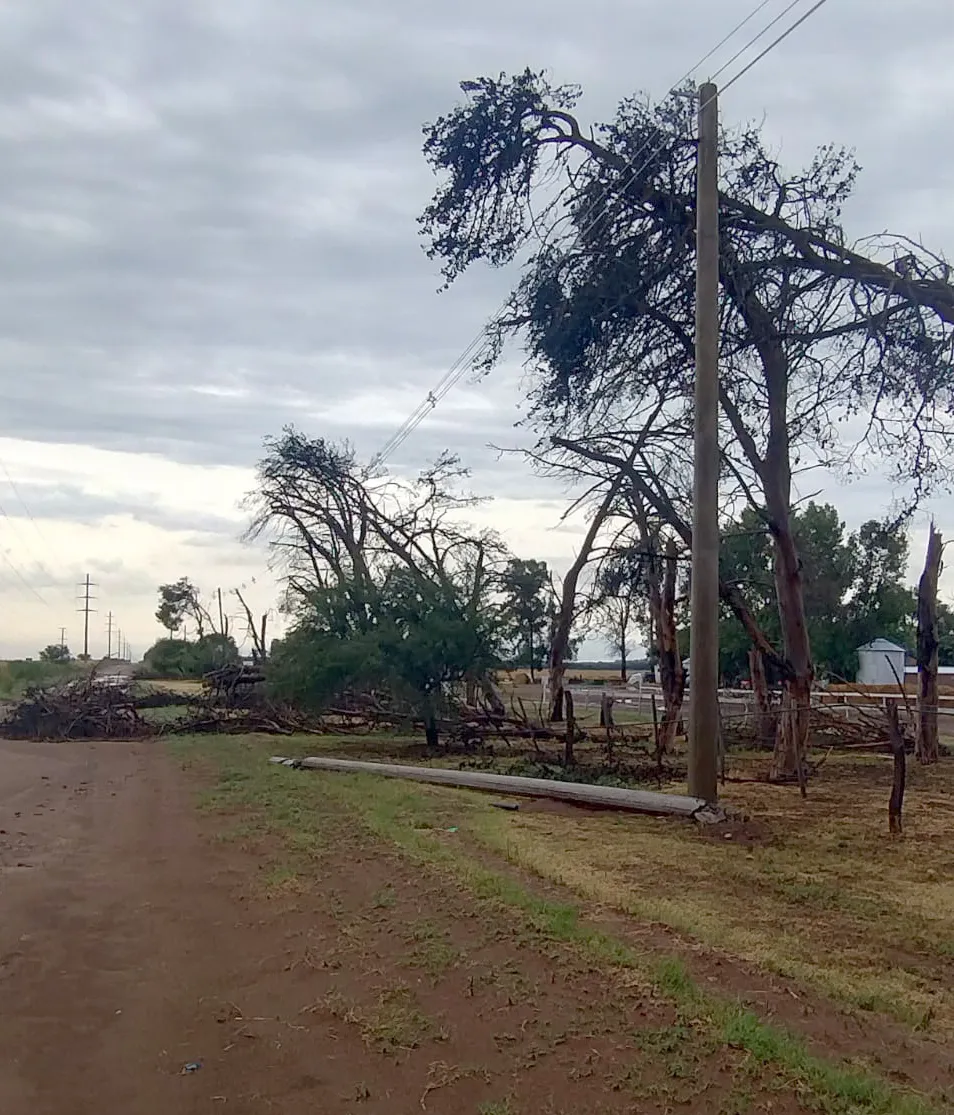 2024-02-09 Tormenta destrozos_3